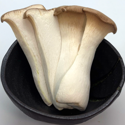 エリンギ King Oyster Mushroom Mushroom 새송이버섯 杏鮑菇